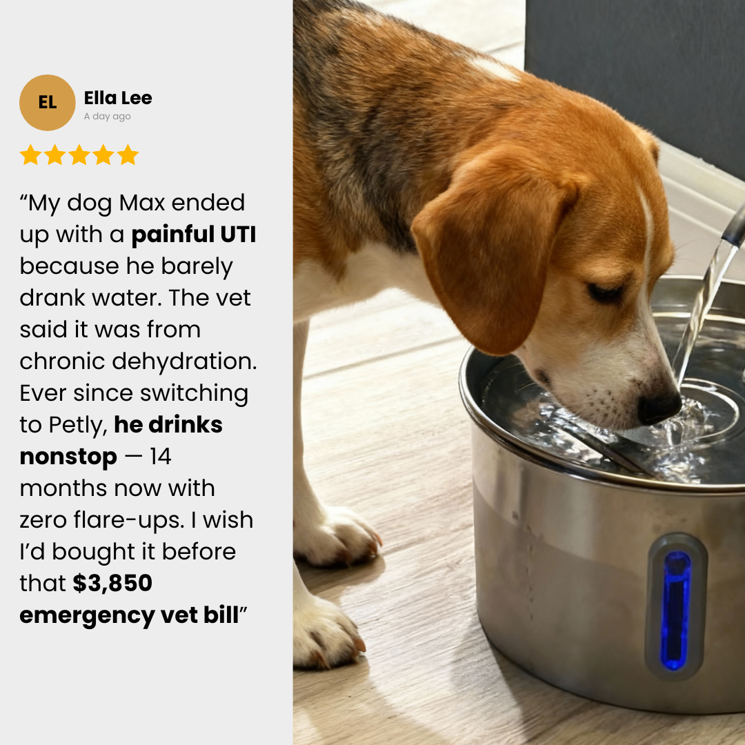 Petly™ Smart Water Fountain