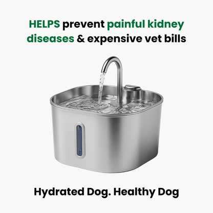 Petly™ Smart Water Fountain