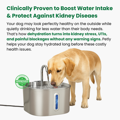 Petly™ Smart Water Fountain