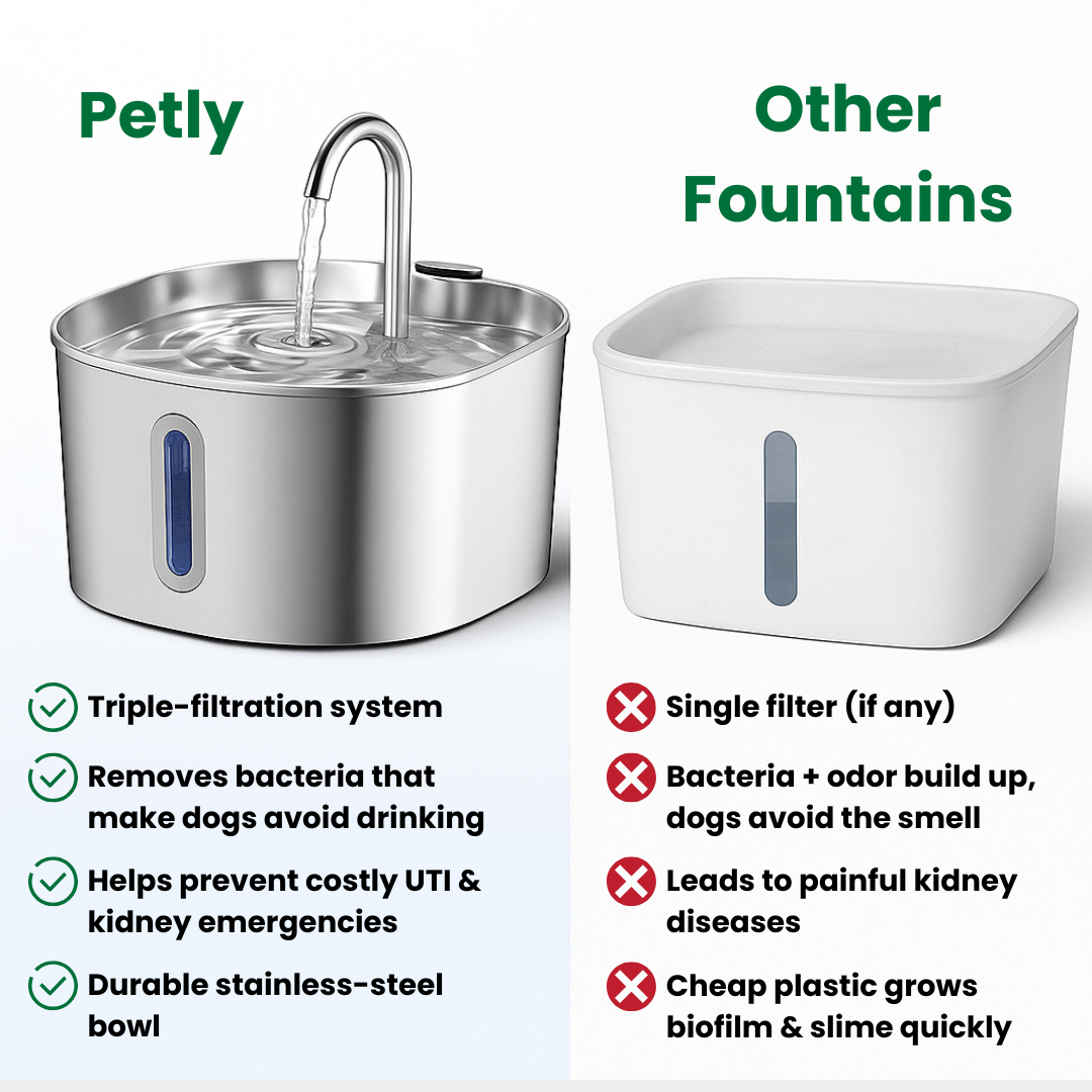 Petly™ Smart Water Fountain