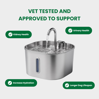 Petly™ Smart Water Fountain