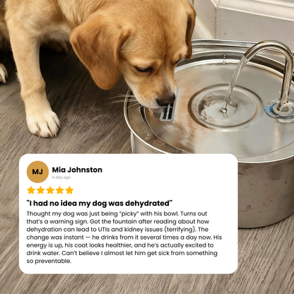 Petly™ Smart Water Fountain