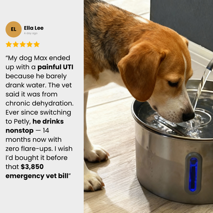 Petly™ Smart Water Fountain